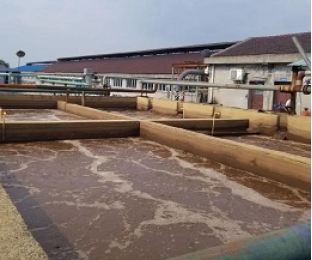 出水氨氮大于進水氨氮，怎么回事？
