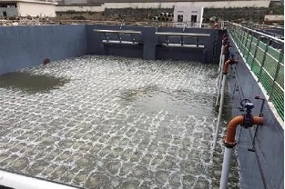 碳源的價(jià)格水漲船高，污水廠如何減少碳源投加量來降低成本？