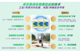 什么是氨氮激活菌，有什么作用